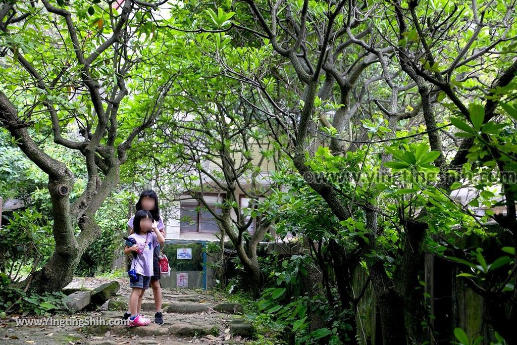 YTS_YTS_20190504_新北瑞芳三百六十度絕景懸崖／南子吝步道New Taipei Ruifang Nanzihlin Trail023_539A7370.jpg