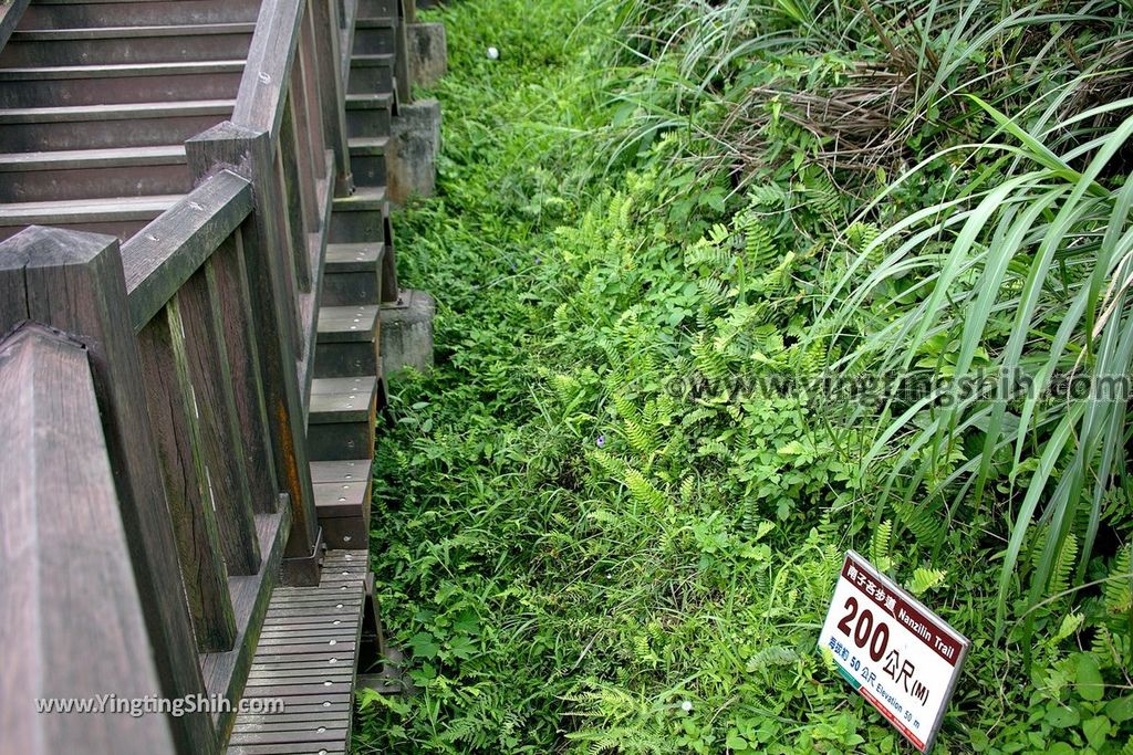 YTS_YTS_20190504_新北瑞芳三百六十度絕景懸崖／南子吝步道New Taipei Ruifang Nanzihlin Trail029_539A7403.jpg