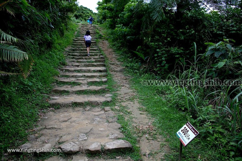 YTS_YTS_20190504_新北瑞芳三百六十度絕景懸崖／南子吝步道New Taipei Ruifang Nanzihlin Trail042_539A7434.jpg