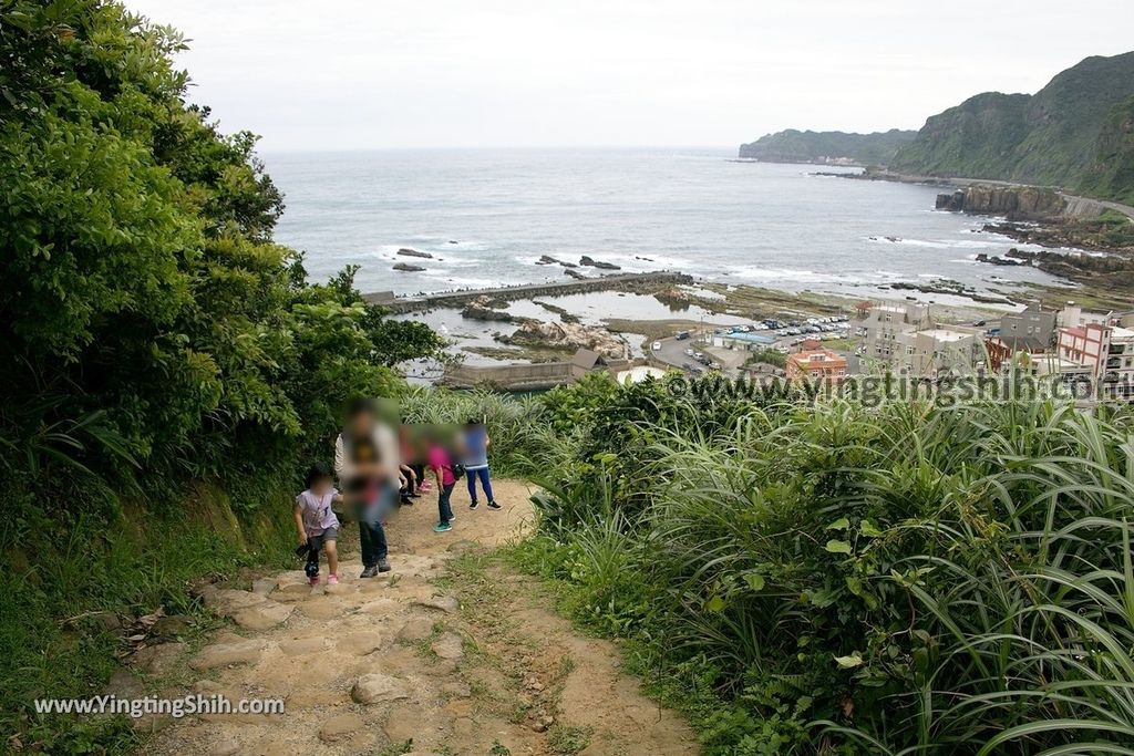 YTS_YTS_20190504_新北瑞芳三百六十度絕景懸崖／南子吝步道New Taipei Ruifang Nanzihlin Trail041_539A7430.jpg