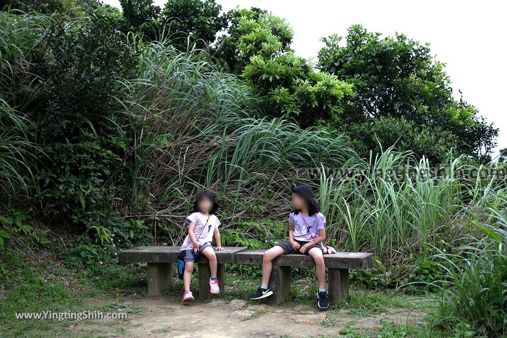 YTS_YTS_20190504_新北瑞芳三百六十度絕景懸崖／南子吝步道New Taipei Ruifang Nanzihlin Trail048_539A7446.jpg