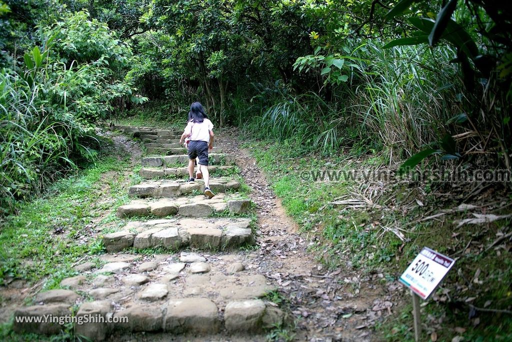 YTS_YTS_20190504_新北瑞芳三百六十度絕景懸崖／南子吝步道New Taipei Ruifang Nanzihlin Trail051_539A7455.jpg