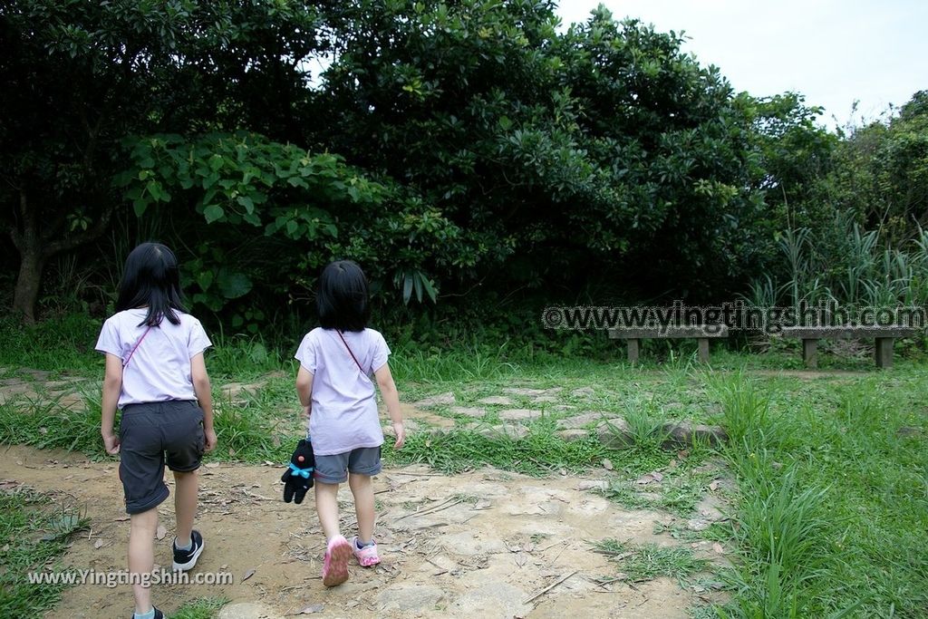 YTS_YTS_20190504_新北瑞芳三百六十度絕景懸崖／南子吝步道New Taipei Ruifang Nanzihlin Trail062_539A7471.jpg