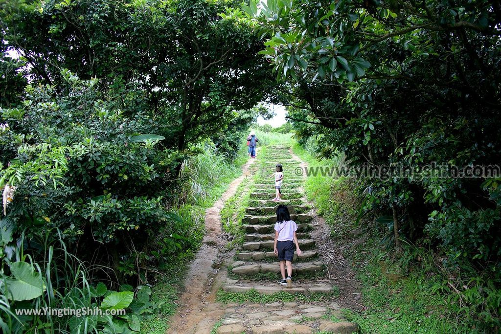 YTS_YTS_20190504_新北瑞芳三百六十度絕景懸崖／南子吝步道New Taipei Ruifang Nanzihlin Trail063_539A7472.jpg