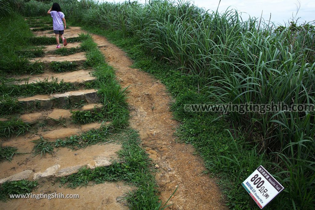 YTS_YTS_20190504_新北瑞芳三百六十度絕景懸崖／南子吝步道New Taipei Ruifang Nanzihlin Trail068_539A7480.jpg