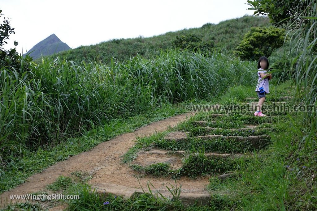 YTS_YTS_20190504_新北瑞芳三百六十度絕景懸崖／南子吝步道New Taipei Ruifang Nanzihlin Trail070_539A7483.jpg