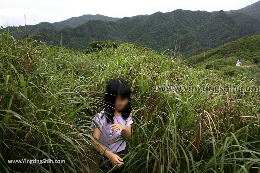 YTS_YTS_20190504_新北瑞芳三百六十度絕景懸崖／南子吝步道New Taipei Ruifang Nanzihlin Trail075_539A7581.jpg