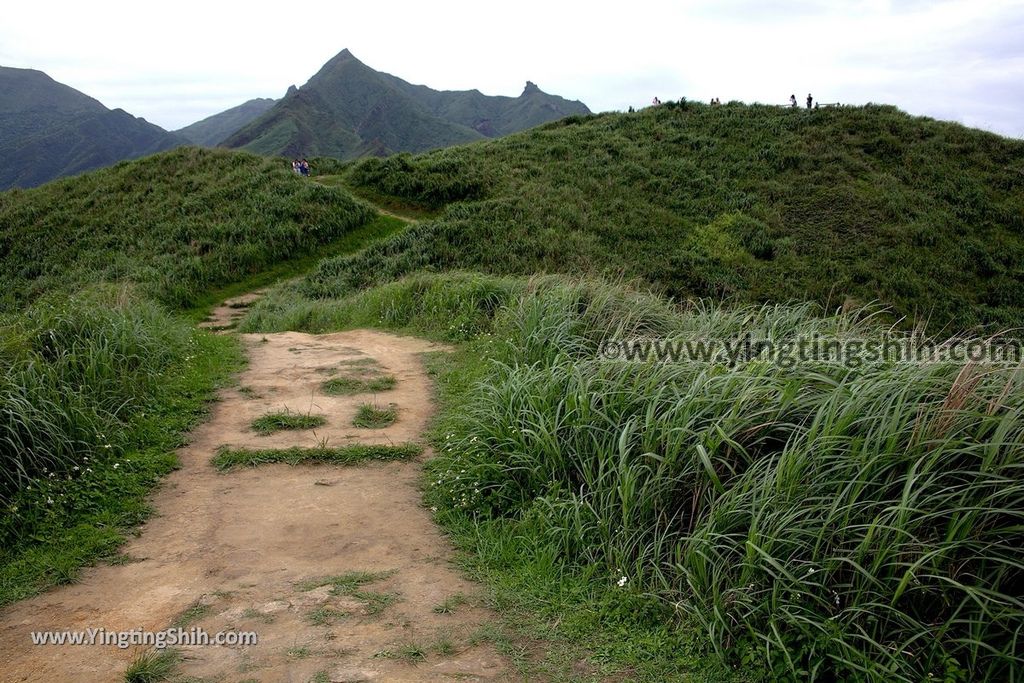 YTS_YTS_20190504_新北瑞芳三百六十度絕景懸崖／南子吝步道New Taipei Ruifang Nanzihlin Trail082_539A7594.jpg