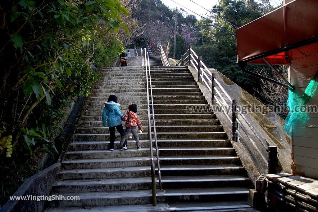 YTS_YTS_20190128_日本九州宮崎日南鵜戶神宮／懸崖上的神社Japan Kyushu Miyazaki Udo Shrine011_3A5A3012.jpg