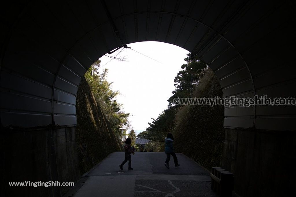 YTS_YTS_20190128_日本九州宮崎日南鵜戶神宮／懸崖上的神社Japan Kyushu Miyazaki Udo Shrine016_3A5A3051.jpg