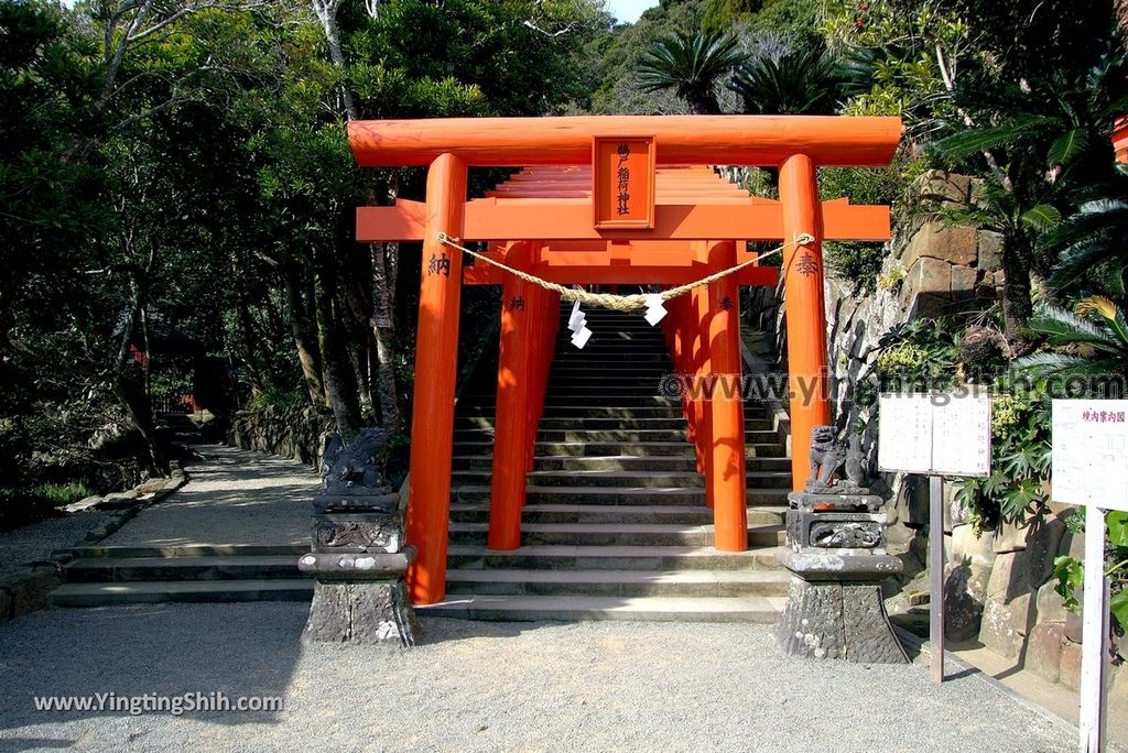 YTS_YTS_20190128_日本九州宮崎日南鵜戶神宮／懸崖上的神社Japan Kyushu Miyazaki Udo Shrine113_3A5A3507.jpg