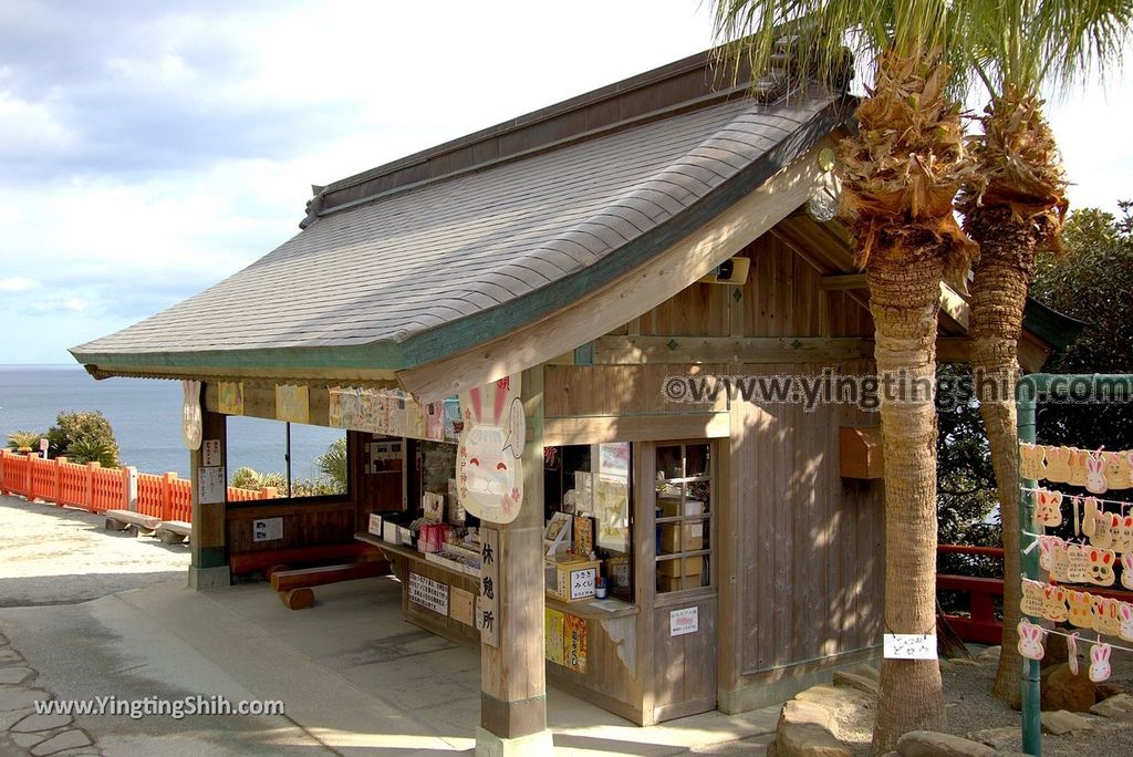 YTS_YTS_20190128_日本九州宮崎日南鵜戶神宮／懸崖上的神社Japan Kyushu Miyazaki Udo Shrine139_3A5A3611.jpg