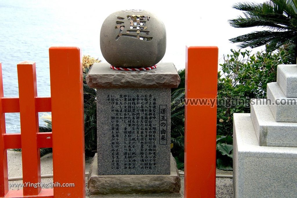 YTS_YTS_20190128_日本九州宮崎日南鵜戶神宮／懸崖上的神社Japan Kyushu Miyazaki Udo Shrine169_3A5A3736.jpg