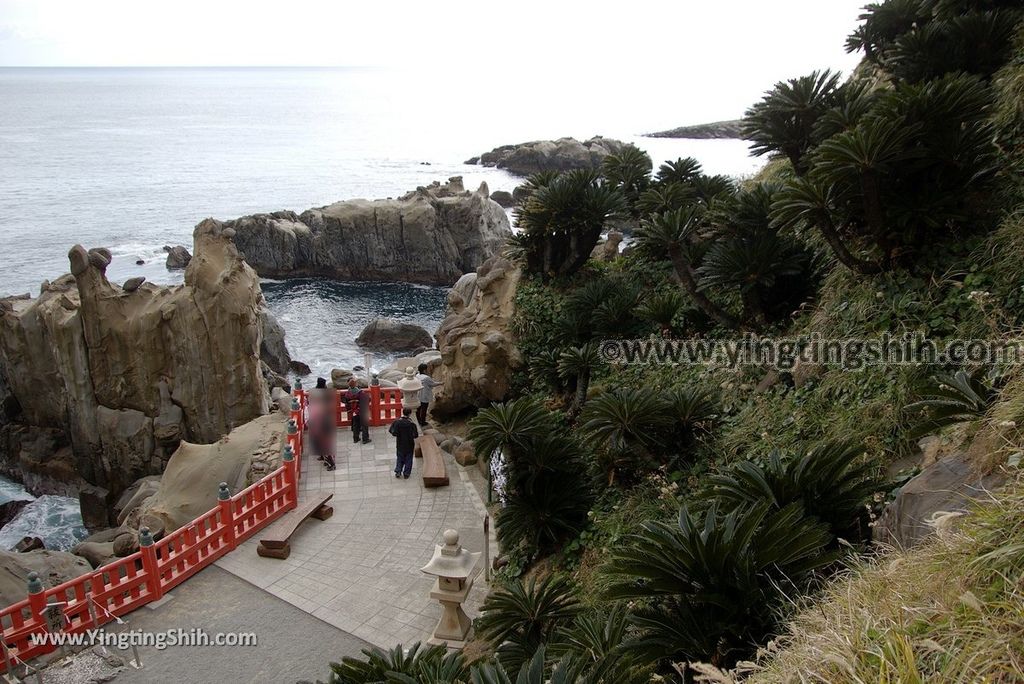 YTS_YTS_20190128_日本九州宮崎日南鵜戶神宮／懸崖上的神社Japan Kyushu Miyazaki Udo Shrine180_3A5A3829.jpg