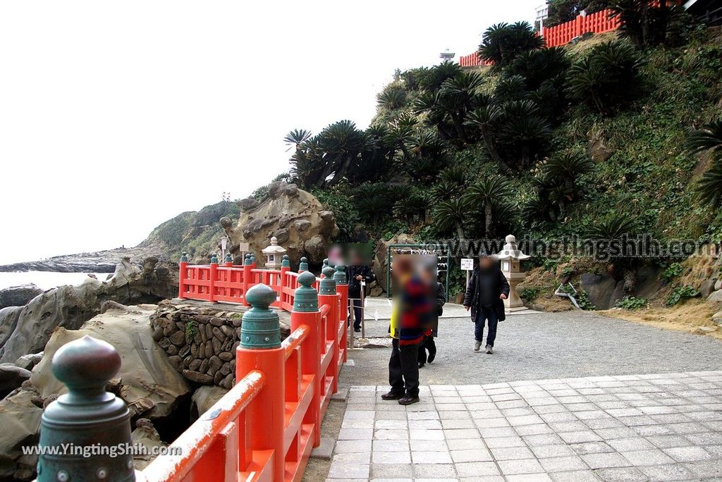 YTS_YTS_20190128_日本九州宮崎日南鵜戶神宮／懸崖上的神社Japan Kyushu Miyazaki Udo Shrine187_3A5A3890.jpg