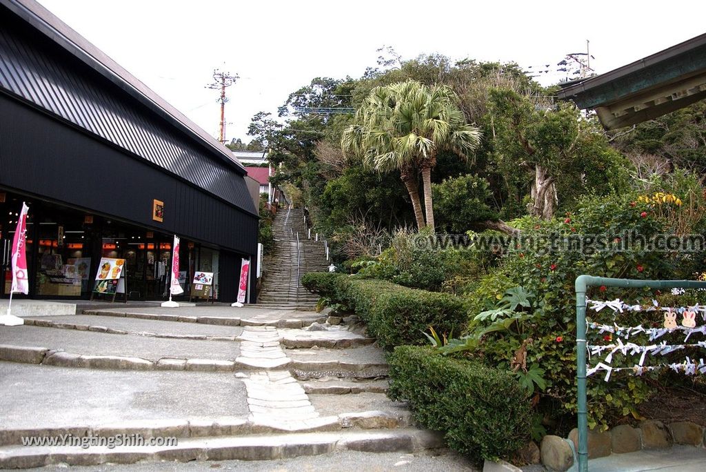 YTS_YTS_20190128_日本九州宮崎日南鵜戶神宮／懸崖上的神社Japan Kyushu Miyazaki Udo Shrine274_3A5A4454.jpg