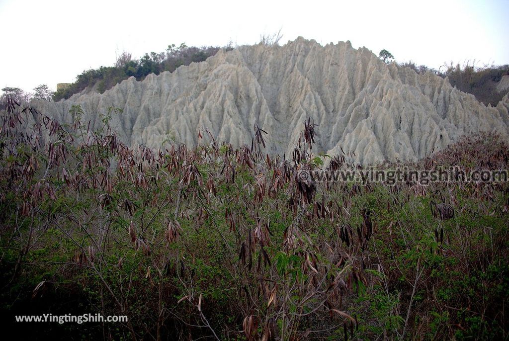 YTS_YTS_20190515_高雄彌陀漯底山自然公園／惡地形／泥火山噴發口Kaohsiung MituoTardyhill Nature Park121_539A9632.jpg