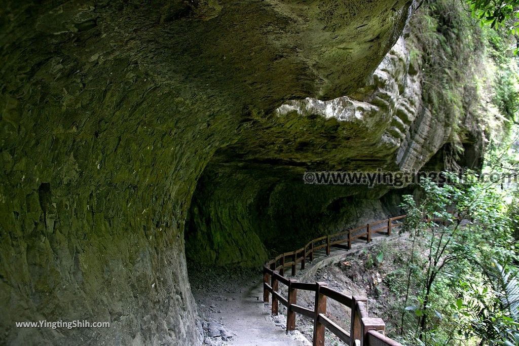 YTS_YTS_20190511_嘉義竹崎青年嶺步道／瑞里千年蝙蝠洞／燕子崖Chiayi Zhuqi Millennium Bat Cave／Swallow Cliff084_539A8703.jpg