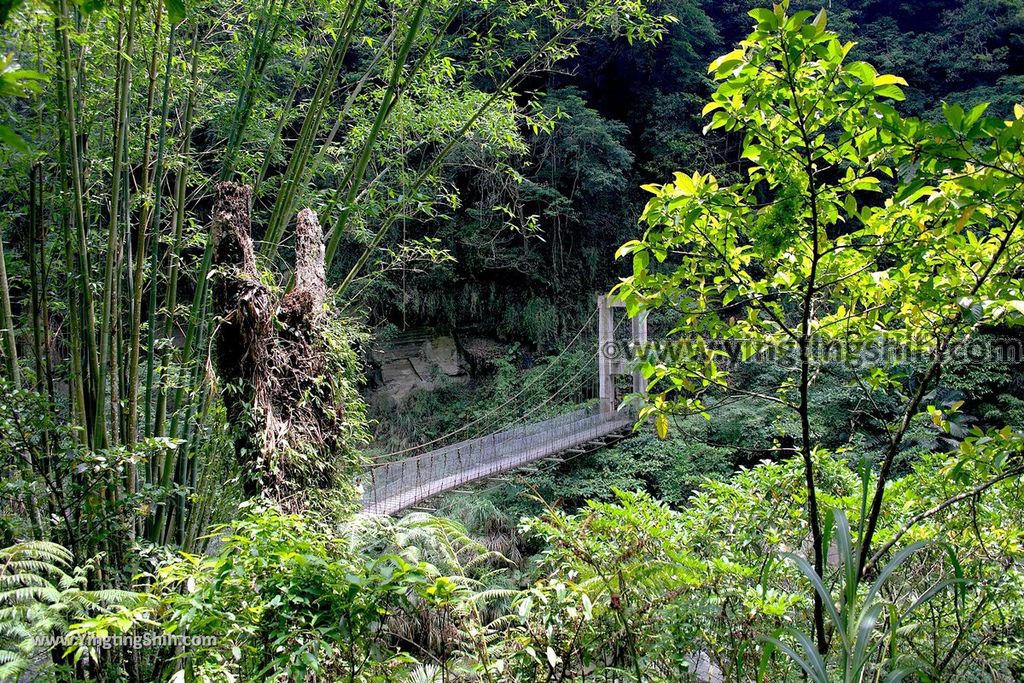 YTS_YTS_20190511_嘉義竹崎青年嶺步道／瑞里千年蝙蝠洞／燕子崖Chiayi Zhuqi Millennium Bat Cave／Swallow Cliff086_539A8964.jpg