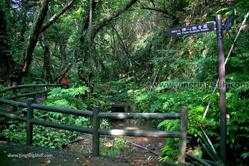 YTS_YTS_20190519_基隆仁愛佛光洞（硐）／蝙蝠洞福德宮／紅淡山古道／佛心觀音嚴Keelung Renai Buddha%5Cs Light Cave045_539A3123.jpg