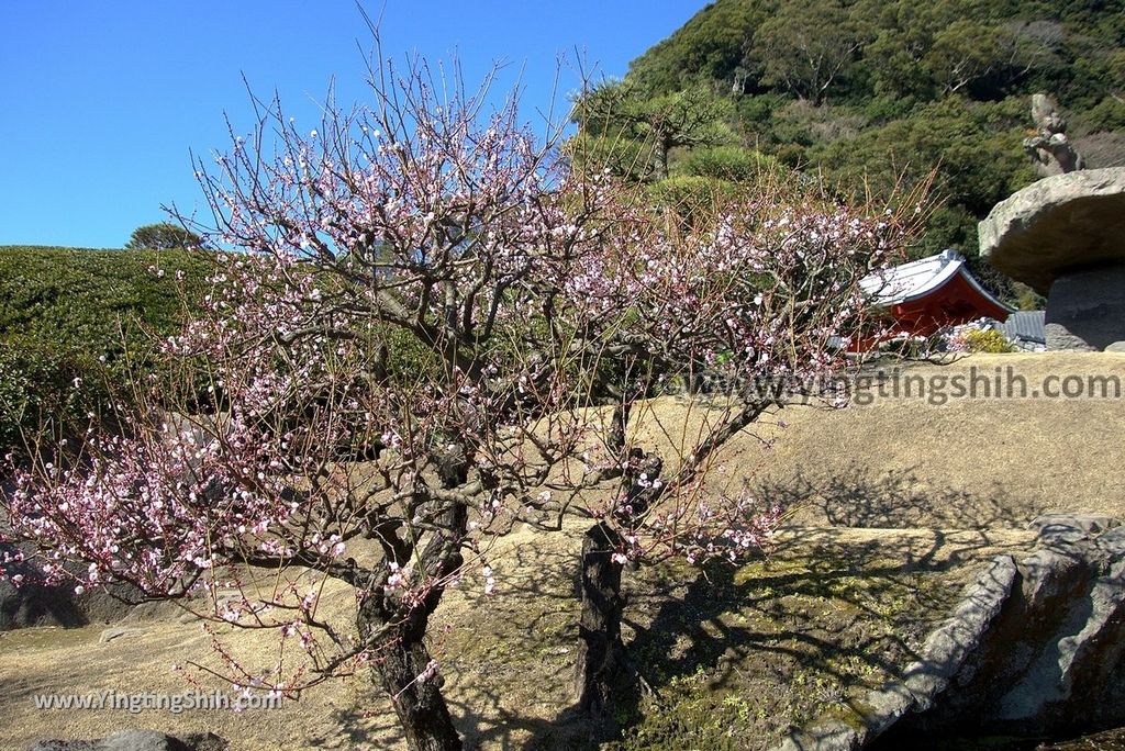 YTS_YTS_20190127_日本九州鹿兒島仙巌園／礫庭園櫻島活火山／舊集成館Japan Kyushu Kagoshima Sengan-en224_3A5A8167.jpg