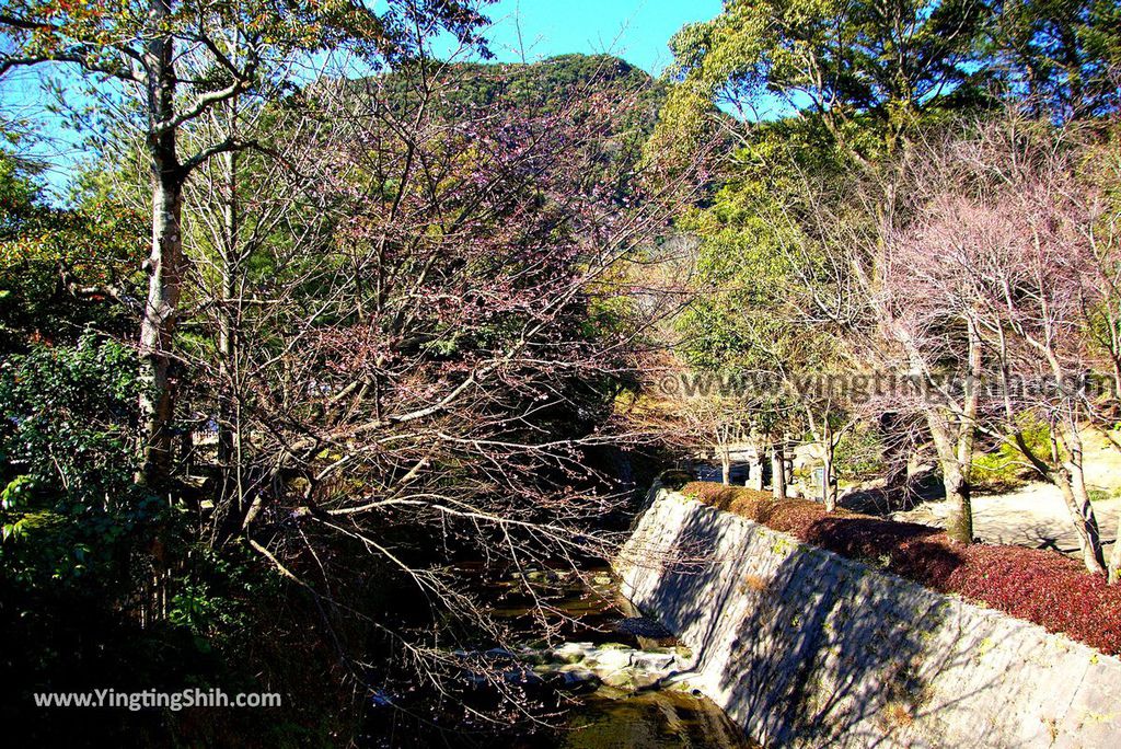 YTS_YTS_20190127_日本九州鹿兒島仙巌園／礫庭園櫻島活火山／舊集成館Japan Kyushu Kagoshima Sengan-en262_3A5A8724.jpg