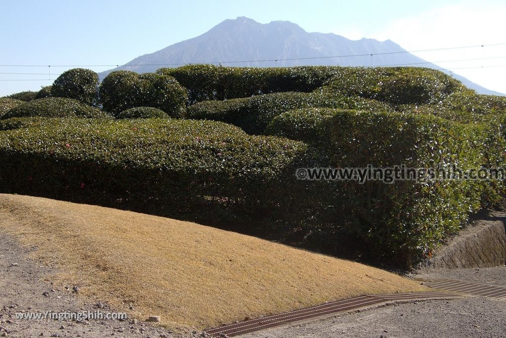 YTS_YTS_20190127_日本九州鹿兒島仙巌園／礫庭園櫻島活火山／舊集成館Japan Kyushu Kagoshima Sengan-en285_3A5A8790.jpg