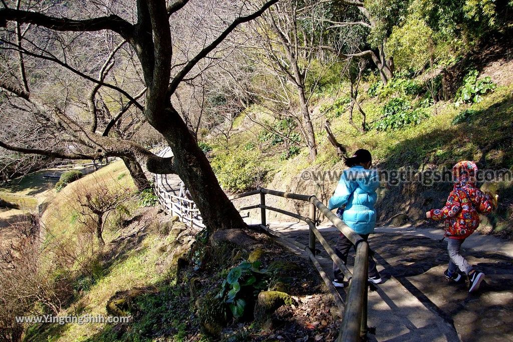 YTS_YTS_20190127_日本九州鹿兒島仙巌園／礫庭園櫻島活火山／舊集成館Japan Kyushu Kagoshima Sengan-en304_3A5A9837.jpg