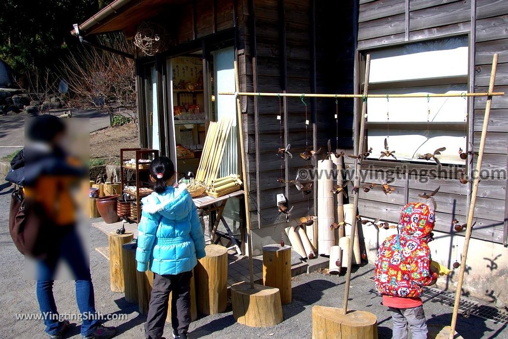 YTS_YTS_20190127_日本九州鹿兒島仙巌園／礫庭園櫻島活火山／舊集成館Japan Kyushu Kagoshima Sengan-en342_3A5A0138.jpg