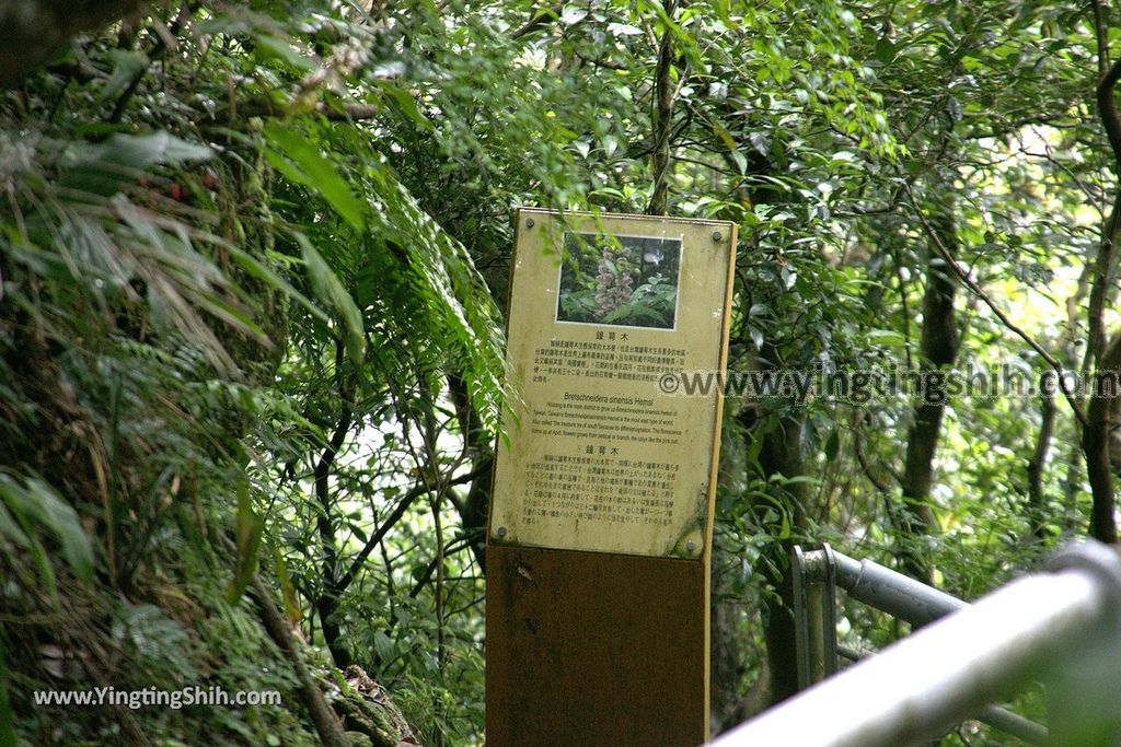 YTS_YTS_20190518_新北瑞芳猴硐神社遺跡／美援厝／醫護所（員工診所）New Taipei Ruifang Houtong Shrine Relics033_539A1290.jpg