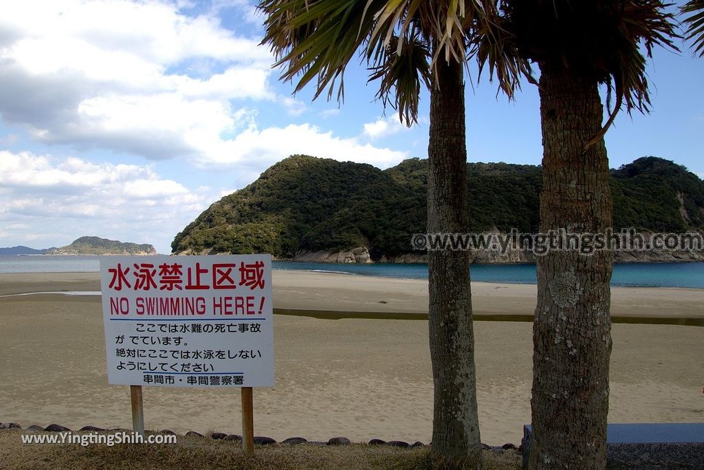 YTS_YTS_20190128_日本九州宮崎石波海岸／金刀比羅宮／幸島渡船Japan Kyushu Miyazaki Ishinami beach017_3A5A4612.jpg