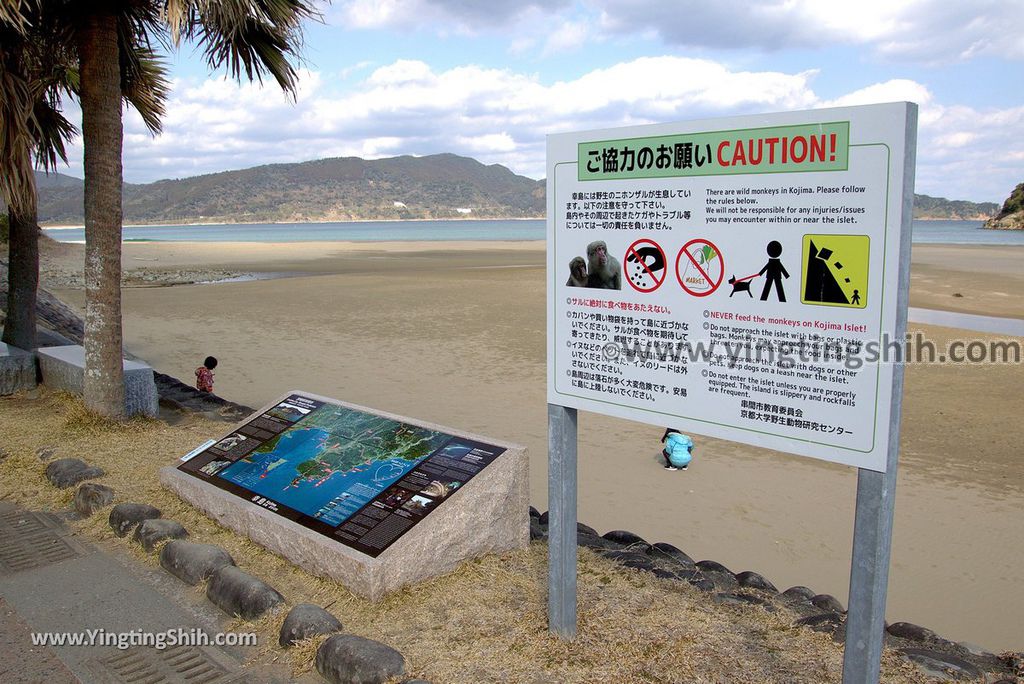 YTS_YTS_20190128_日本九州宮崎石波海岸／金刀比羅宮／幸島渡船Japan Kyushu Miyazaki Ishinami beach024_3A5A4521.jpg