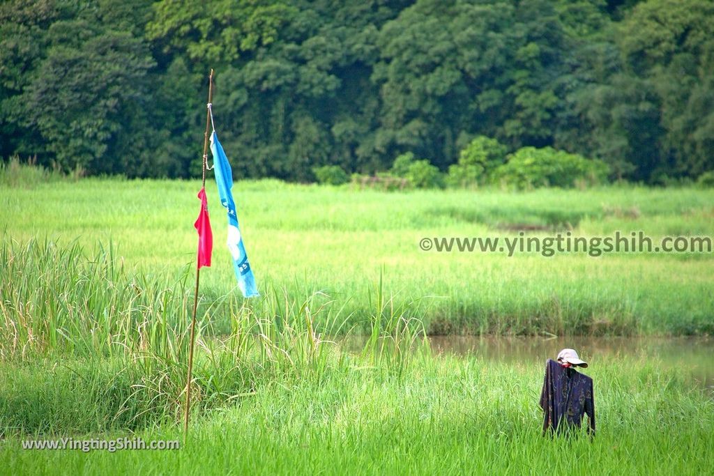 YTS_YTS_20190518_新北貢寮田寮洋濕地／賞鳥區New Taipei Gongliao Tian Hao Yang Wetland004_539A1978.jpg