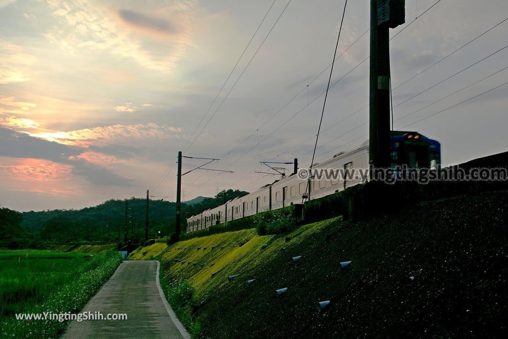 YTS_YTS_20190518_新北貢寮田寮洋濕地／賞鳥區New Taipei Gongliao Tian Hao Yang Wetland001_539A1937.jpg