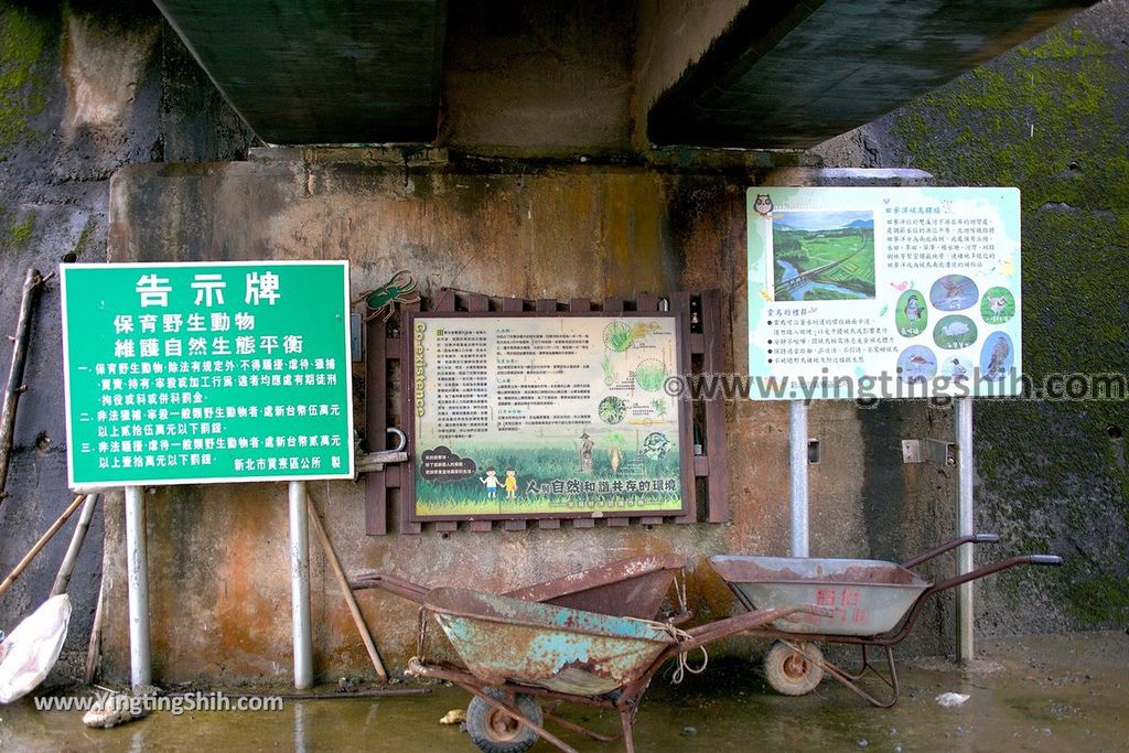 YTS_YTS_20190518_新北貢寮田寮洋濕地／賞鳥區New Taipei Gongliao Tian Hao Yang Wetland006_539A1940.jpg