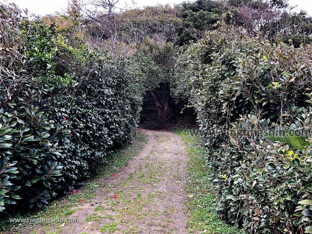 YTS_YTS_20190202_日本九州福岡志賀海神社中津宮／勝馬宮／勝馬海水浴場Japan Kyushu Fukuoka Shikaumi Shrine Nakatsunomiya012_IMG_4237.jpg