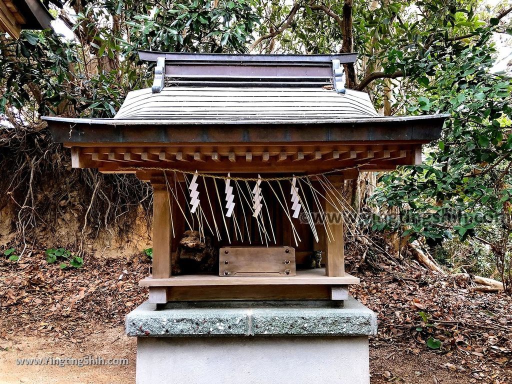 YTS_YTS_20190202_日本九州福岡志賀海神社中津宮／勝馬宮／勝馬海水浴場Japan Kyushu Fukuoka Shikaumi Shrine Nakatsunomiya018_IMG_4245.jpg