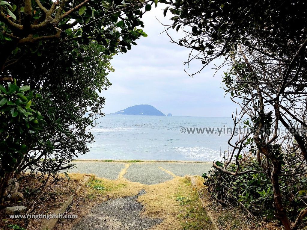 YTS_YTS_20190202_日本九州福岡志賀海神社中津宮／勝馬宮／勝馬海水浴場Japan Kyushu Fukuoka Shikaumi Shrine Nakatsunomiya025_IMG_4257.jpg