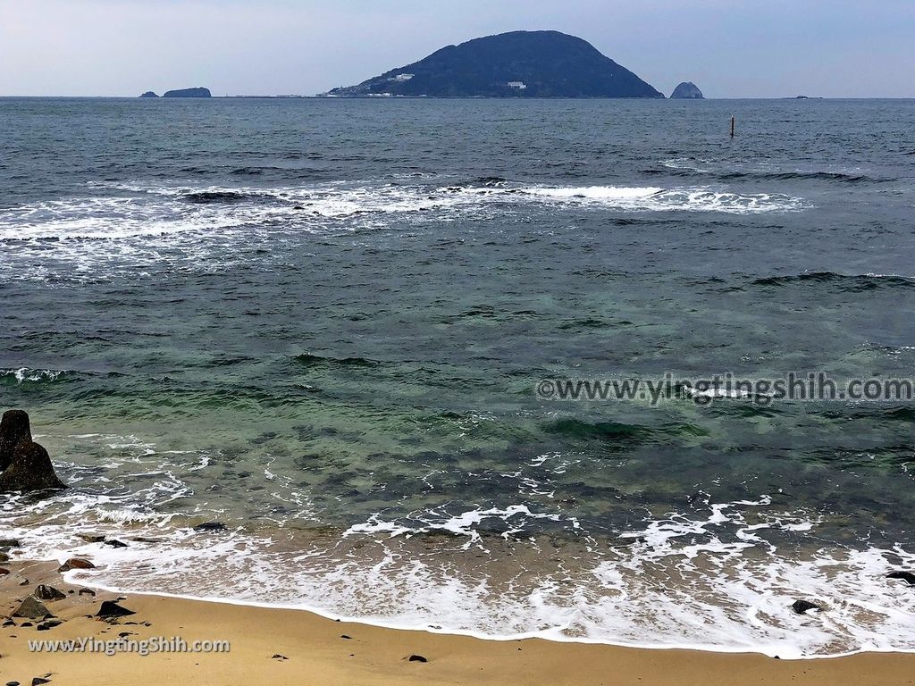 YTS_YTS_20190202_日本九州福岡志賀海神社中津宮／勝馬宮／勝馬海水浴場Japan Kyushu Fukuoka Shikaumi Shrine Nakatsunomiya031_IMG_4267.jpg