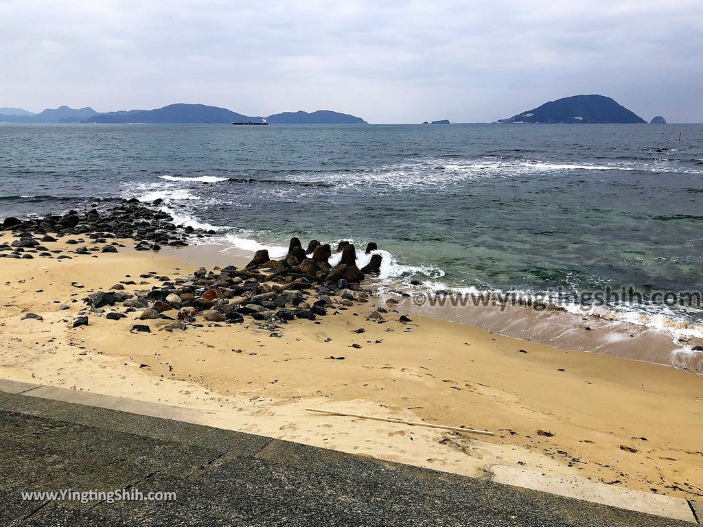 YTS_YTS_20190202_日本九州福岡志賀海神社中津宮／勝馬宮／勝馬海水浴場Japan Kyushu Fukuoka Shikaumi Shrine Nakatsunomiya032_IMG_4268.jpg