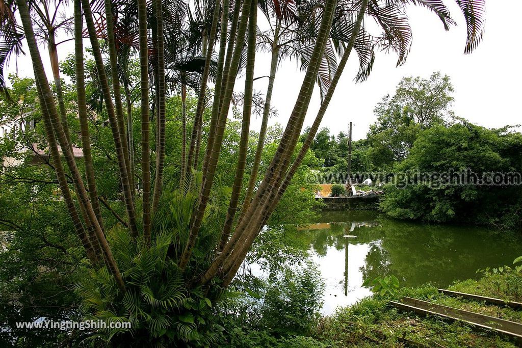 YTS_YTS_20190524_桃園八德大火房泉水浣衣池Taoyuan Bade Dahuofang Washing Pool003_539A3189.jpg