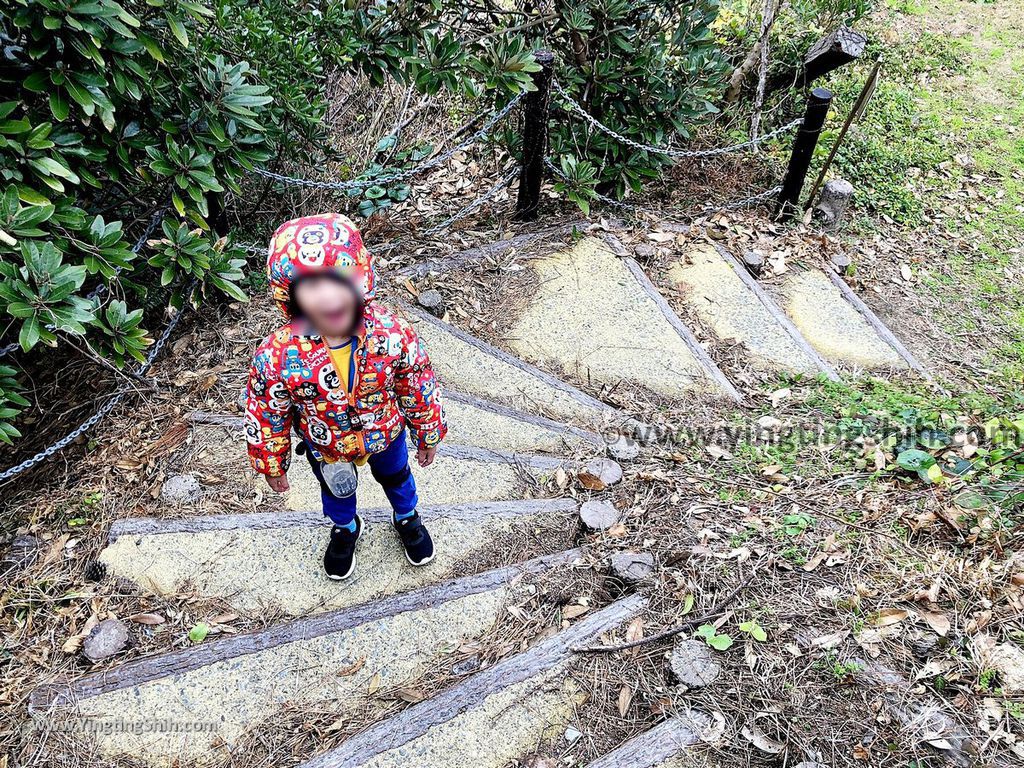 YTS_YTS_20190202_日本九州福岡玄海國定公園／下馬ヶ浜海水浴場／志賀島休暇村Japan Kyushu Fukuoka Kyukamura Shikanoshima042_IMG_4402.jpg