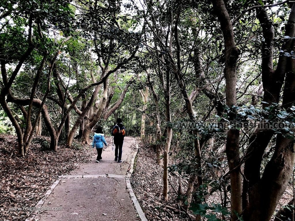 YTS_YTS_20190202_日本九州福岡玄海國定公園／下馬ヶ浜海水浴場／志賀島休暇村Japan Kyushu Fukuoka Kyukamura Shikanoshima063_IMG_4442.jpg