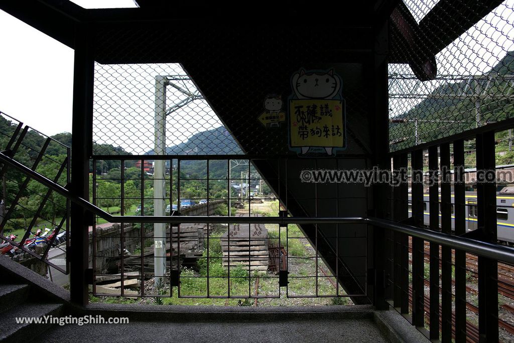 YTS_YTS_20190518_新北瑞芳猴硐貓村／運煤礦車隧道遺址／瑞三運煤橋New Taipei Ruifang Houtong Cat Village136_539A0669.jpg