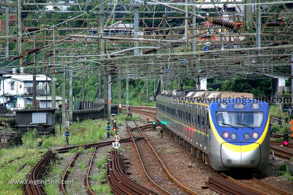 YTS_YTS_20190518_新北瑞芳猴硐貓村／運煤礦車隧道遺址／瑞三運煤橋New Taipei Ruifang Houtong Cat Village138_539A0692.jpg