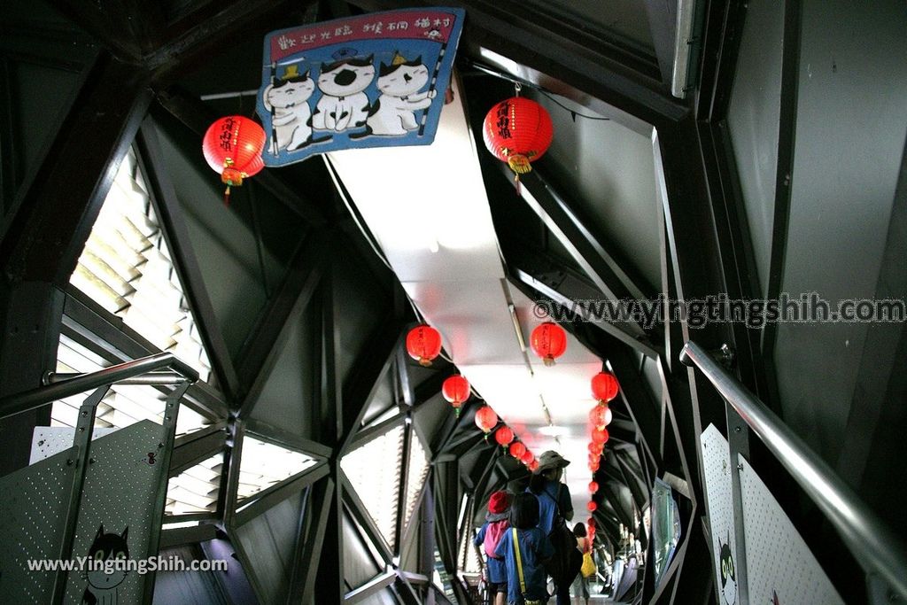 YTS_YTS_20190518_新北瑞芳猴硐貓村／運煤礦車隧道遺址／瑞三運煤橋New Taipei Ruifang Houtong Cat Village149_539A0713.jpg