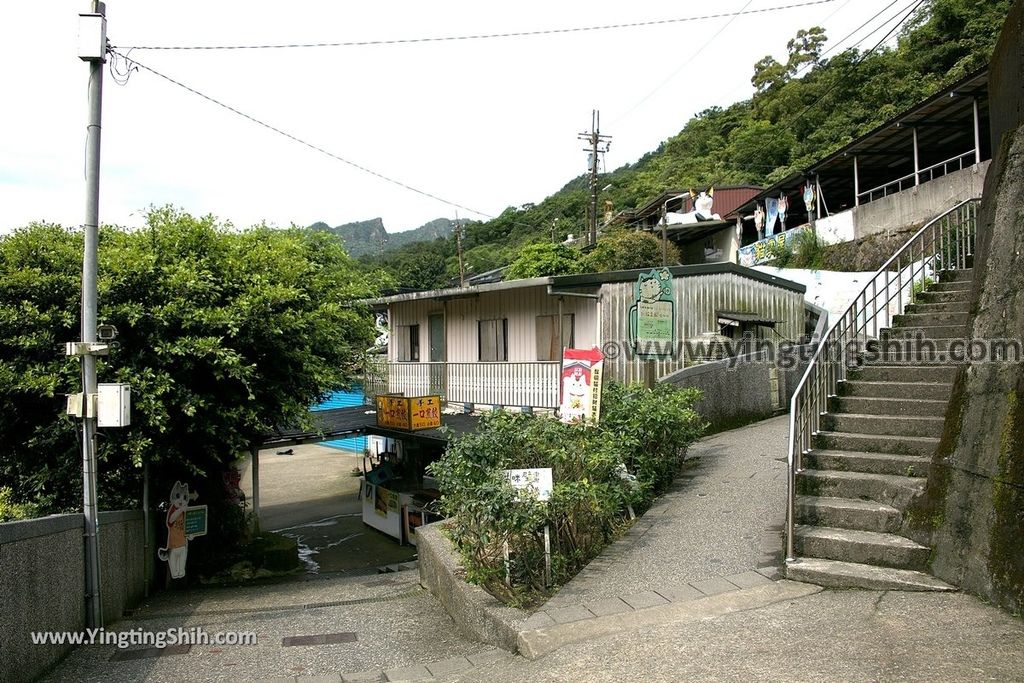 YTS_YTS_20190518_新北瑞芳猴硐貓村／運煤礦車隧道遺址／瑞三運煤橋New Taipei Ruifang Houtong Cat Village181_539A0757.jpg