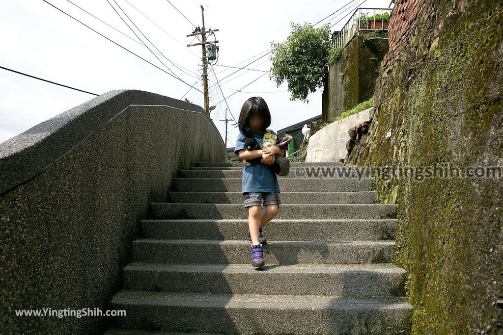 YTS_YTS_20190518_新北瑞芳猴硐貓村／運煤礦車隧道遺址／瑞三運煤橋New Taipei Ruifang Houtong Cat Village223_539A0817.jpg