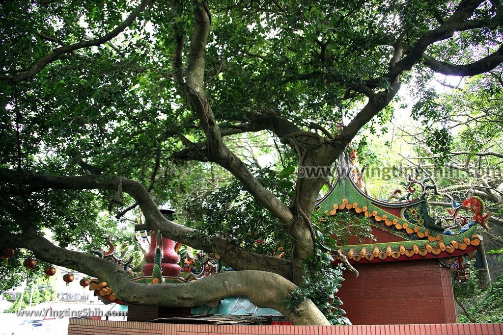 YTS_YTS_20190524_桃園八德霄裡白馬泉／福山宮／霄裡陽光鐵馬道Taoyuan Bade Fusang Temple007_539A3399.jpg