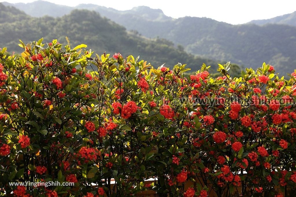 YTS_YTS_20190518_新北雙溪興道山聖南寺／頂寺New Taipei Shuangxi Shengnan Temple020_539A1846.jpg